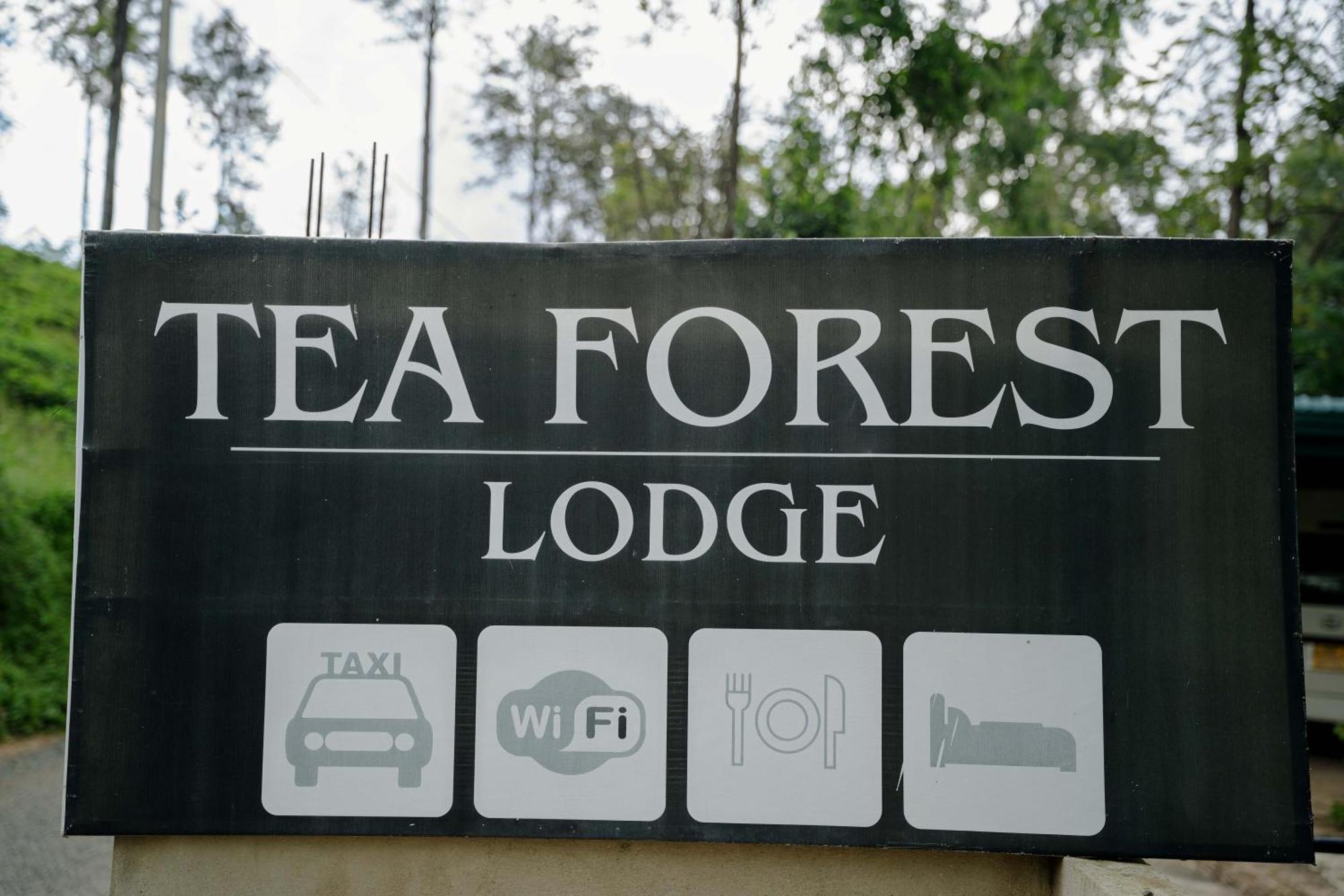 Tea Forest Lodge Ella Zewnętrze zdjęcie