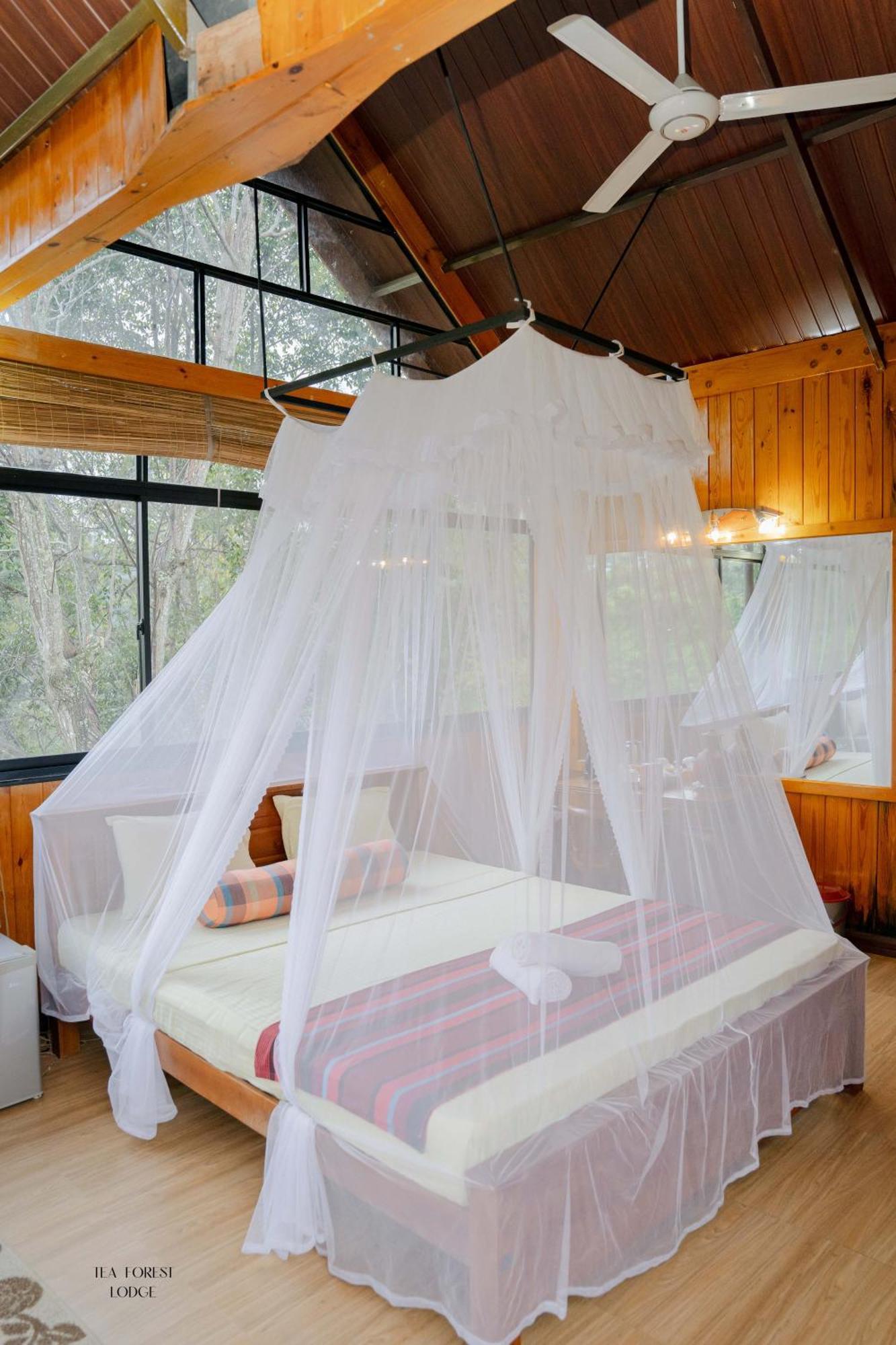 Tea Forest Lodge Ella Zewnętrze zdjęcie