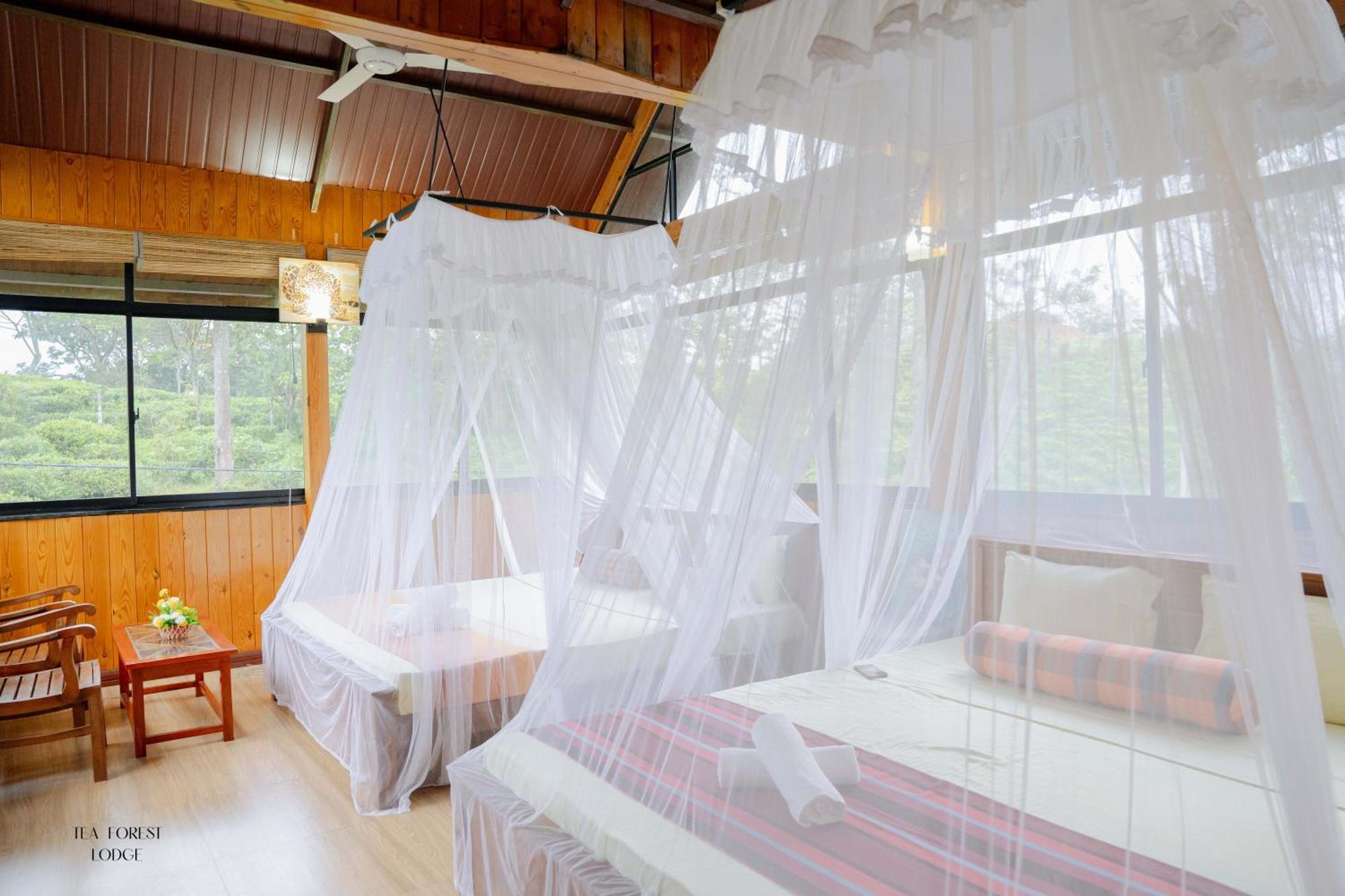 Tea Forest Lodge Ella Zewnętrze zdjęcie